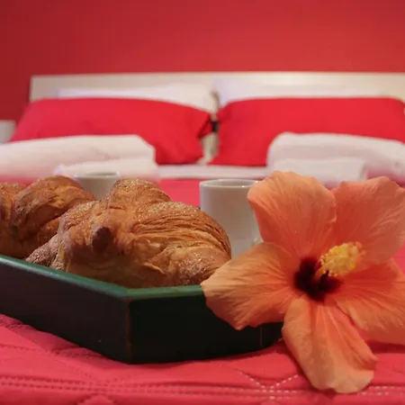 Couette-café Osa *